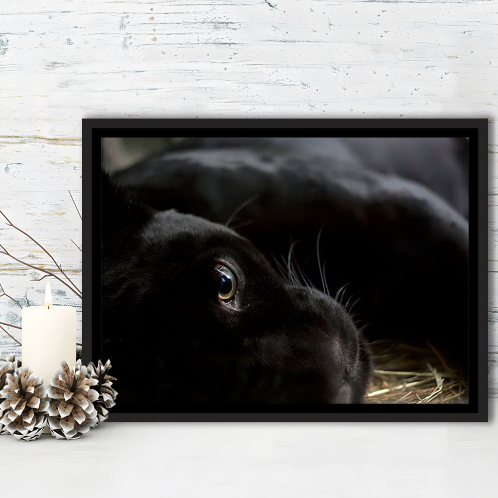 Black Panther Wall Art, Panther Canvas Wall Art, Panther Wall Decoration, Framed Cavas Print, Floating Frame