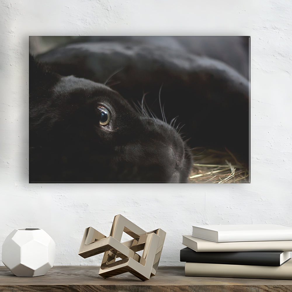 Black Panther Wall Art, Panther Canvas Wall Art, Panther Wall Decoration, Cavas Print Wall Art Hom Decor