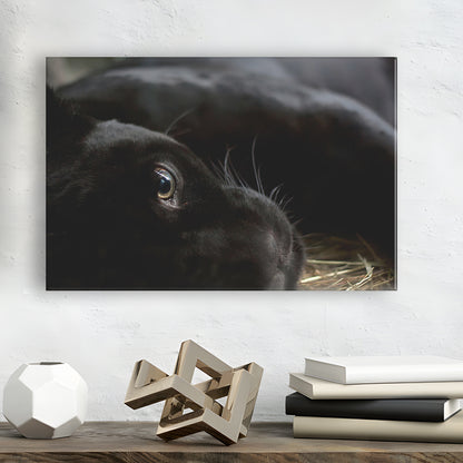 Black Panther Wall Art, Panther Canvas Wall Art, Panther Wall Decoration, Cavas Print Wall Art Hom Decor
