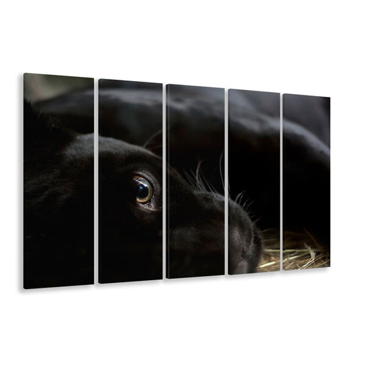 Black Panther Wall Art, Panther Canvas Wall Art, Panther Wall Decoration, 5 Piece B Extra Large Cavas Print Wall Art Decor