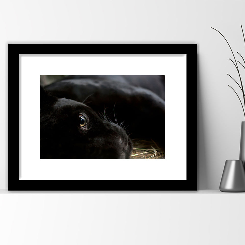 Black Panther Wall Art, Panther Wall Art, Panther Wall Decoration, Framed Art Print White Border