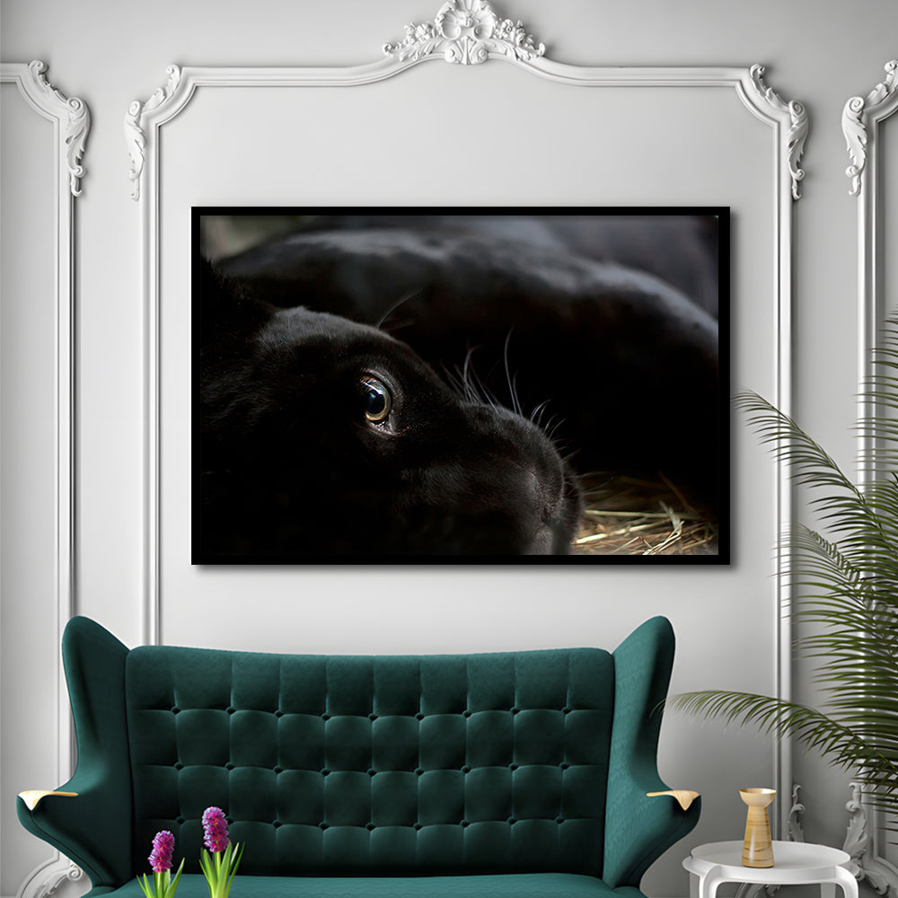 Black Panther Wall Art, Panther Art Wall Art, Panther Wall Decoration, Framed Art Print, Picture Framed