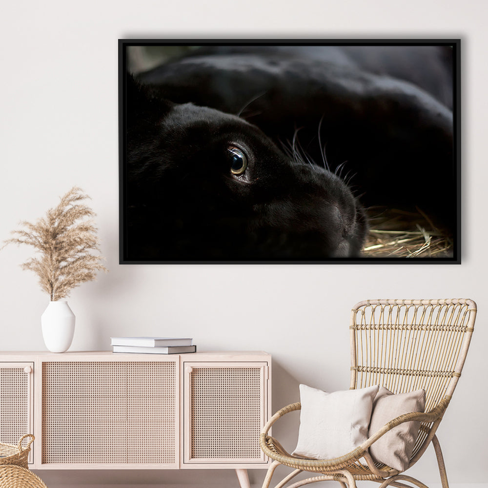 Black Panther Wall Art, Panther Canvas Wall Art, Panther Wall Decoration, Framed Cavas Print, Floating Frame