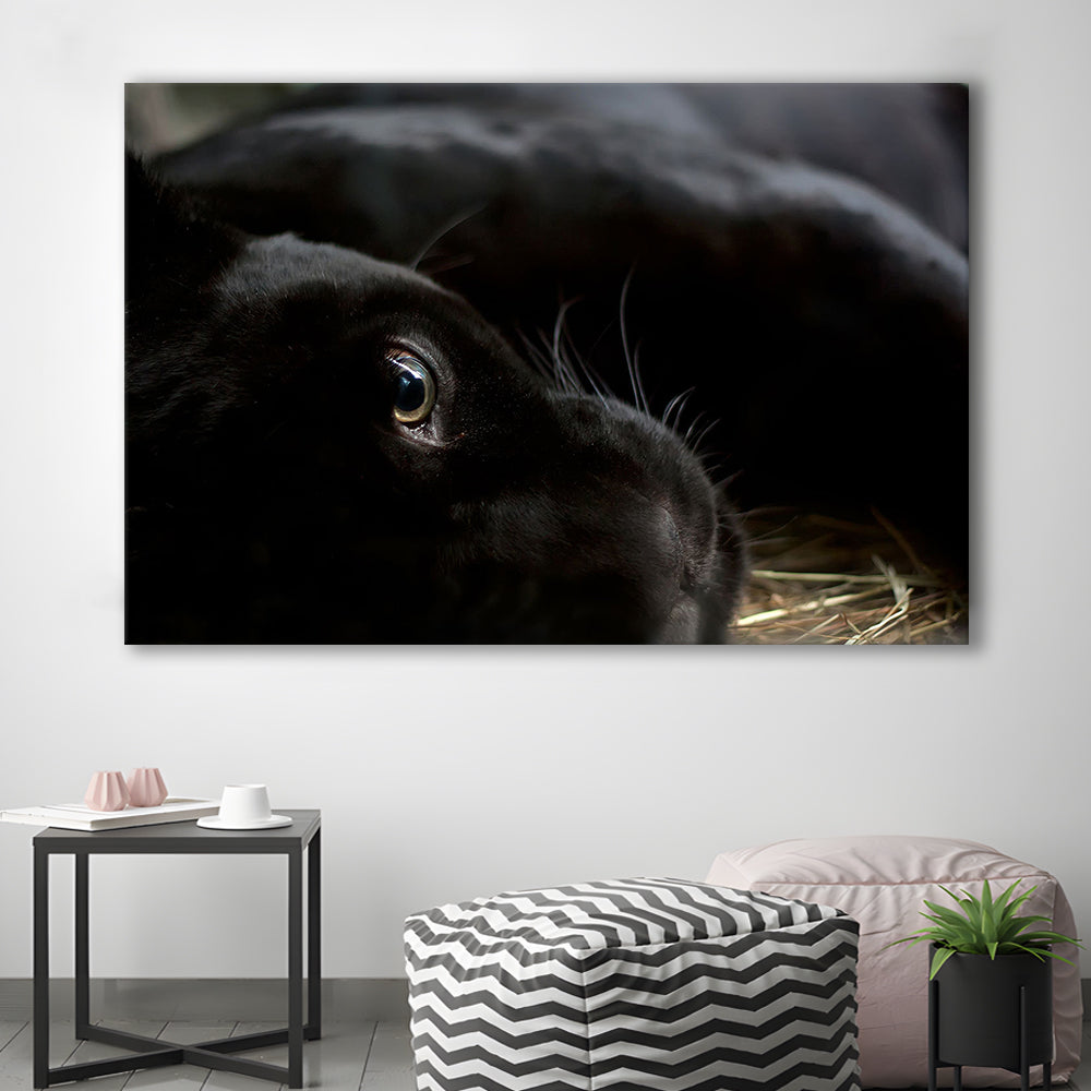 Black Panther Wall Art, Panther Canvas Wall Art, Panther Wall Decoration, Cavas Print Wall Art Hom Decor