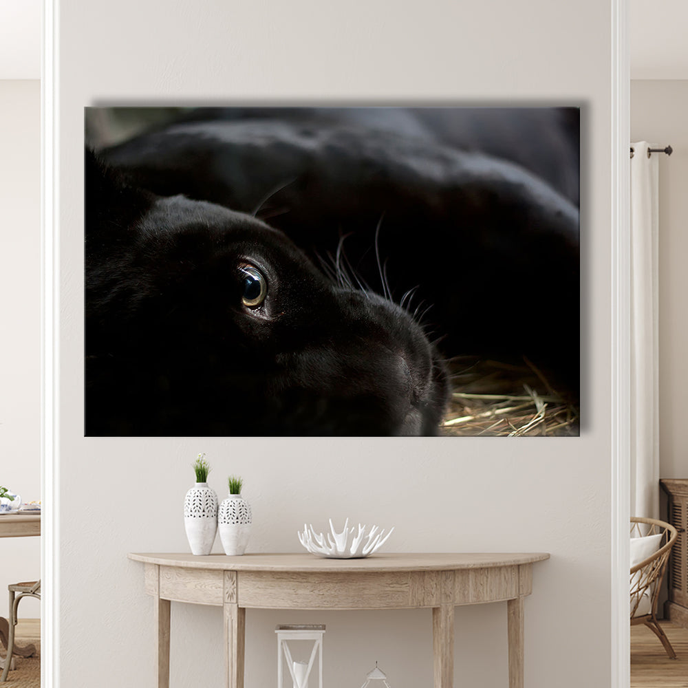 Black Panther Wall Art, Panther Canvas Wall Art, Panther Wall Decoration, Cavas Print Wall Art Hom Decor