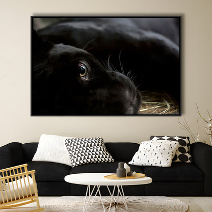Black Panther Wall Art, Panther Canvas Wall Art, Panther Wall Decoration, Framed Cavas Print, Floating Frame