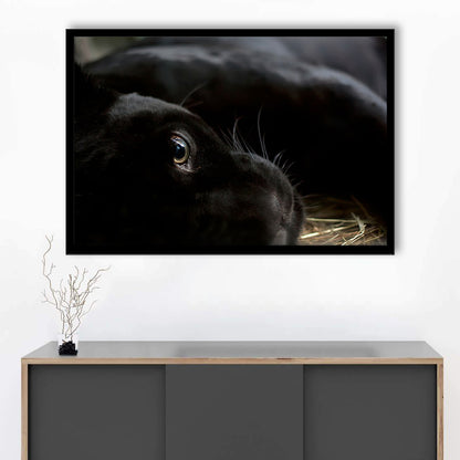 Black Panther Wall Art, Panther Art Wall Art, Panther Wall Decoration, Framed Art Print, Picture Framed