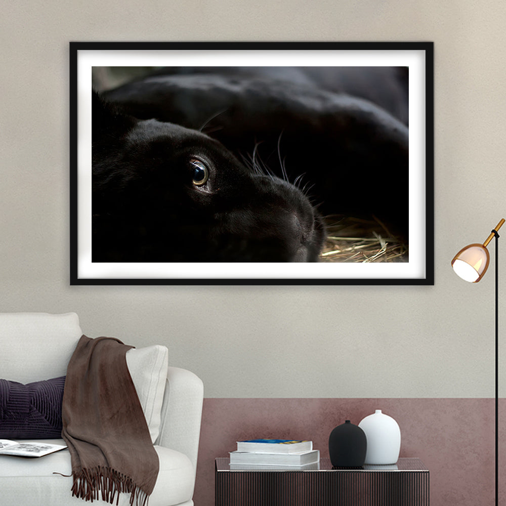 Black Panther Wall Art, Panther Wall Art, Panther Wall Decoration, Framed Art Print White Border