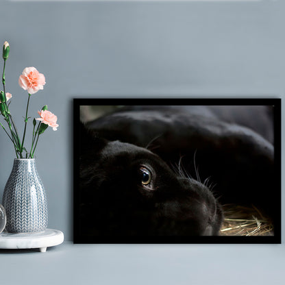Black Panther Wall Art, Panther Art Wall Art, Panther Wall Decoration, Framed Art Print, Picture Framed