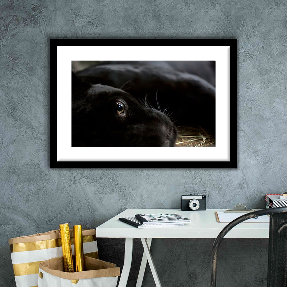 Black Panther Wall Art, Panther Wall Art, Panther Wall Decoration, Framed Art Print White Border