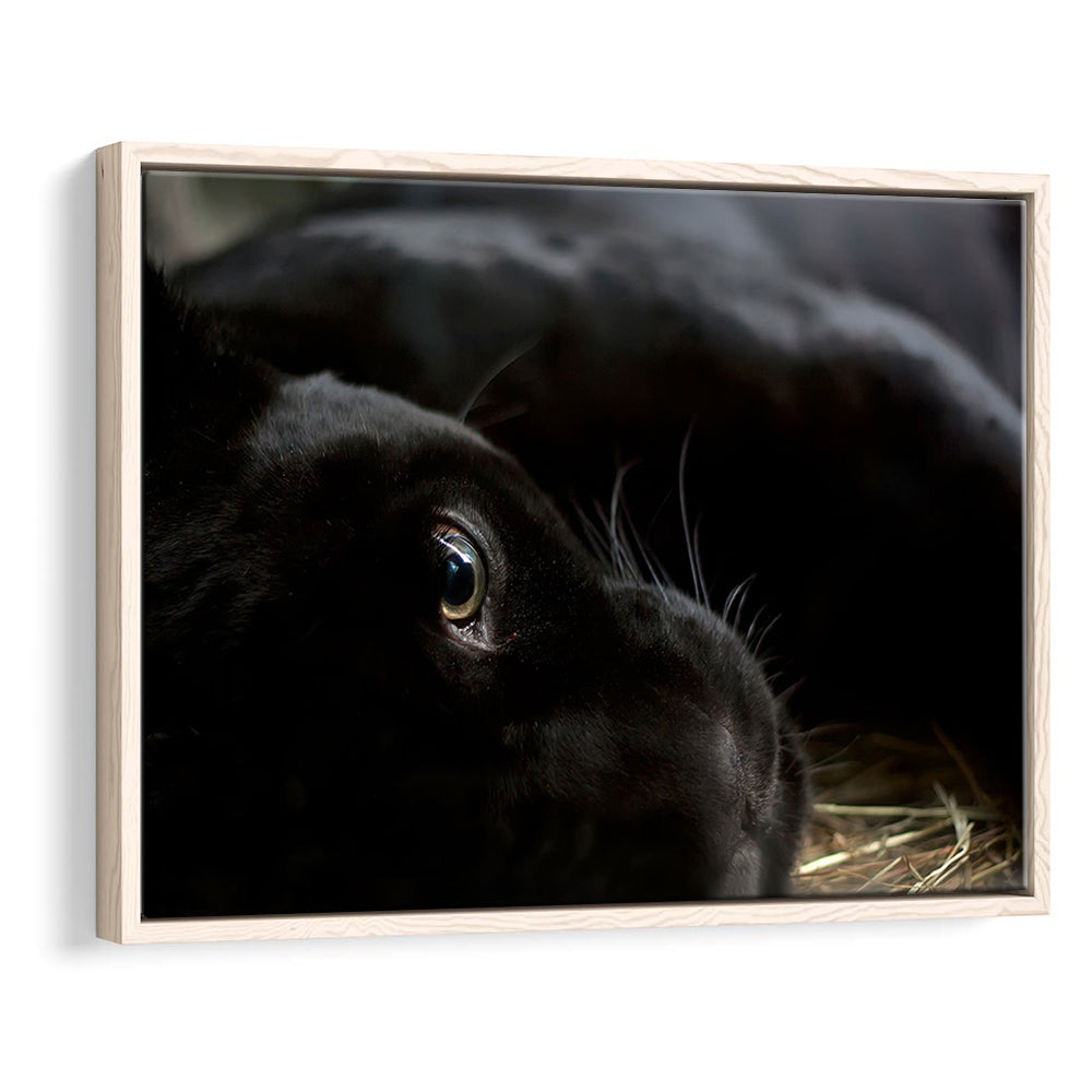 Black Panther Wall Art, Panther Canvas Wall Art, Panther Wall Decoration, Framed Cavas Print, Floating Frame