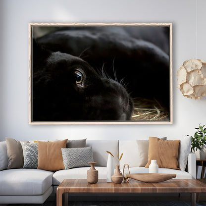 Black Panther Wall Art, Panther Canvas Wall Art, Panther Wall Decoration, Framed Cavas Print, Floating Frame