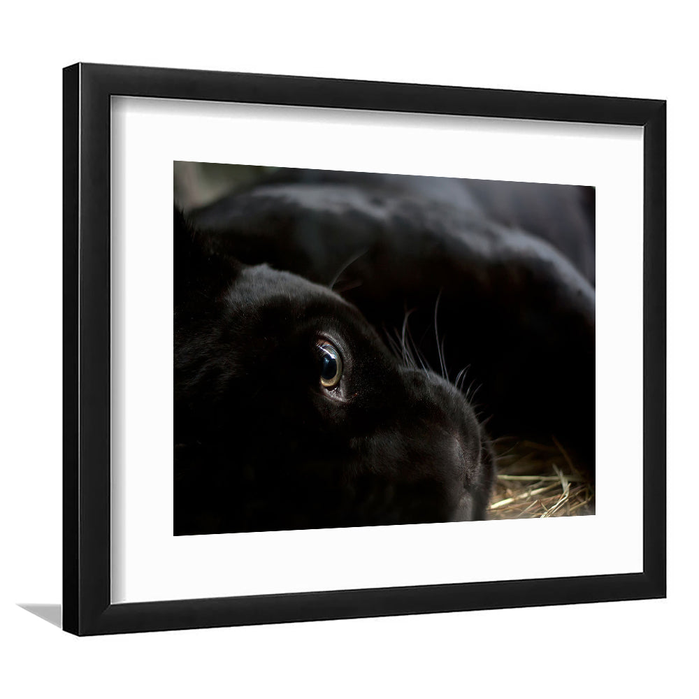Black Panther Wall Art, Panther Wall Art, Panther Wall Decoration, Framed Art Print White Border