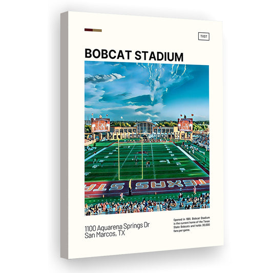 Bobcat Stadium Print, Texas State Bobcats Stadium Canvas Art, Fan Gifts, Sport Art, Canvas Print Wall Art