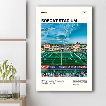 Bobcat Stadium Print, Texas State Bobcats Stadium Canvas Art, Fan Gifts, Sport Art, Canvas Print Wall Art