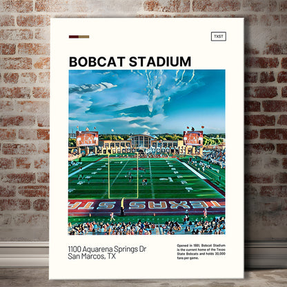 Bobcat Stadium Print, Texas State Bobcats Stadium Canvas Art, Fan Gifts, Sport Art, Canvas Print Wall Art