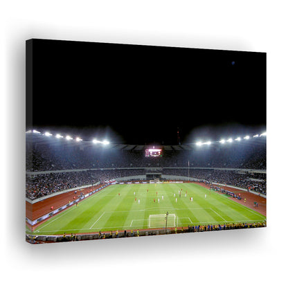 Boris Paichadze Dinamo Arena, Stadium Canvas, Sport Art, Gift for him, Man Cave Decor, Art Print, Canvas Print Wall Art