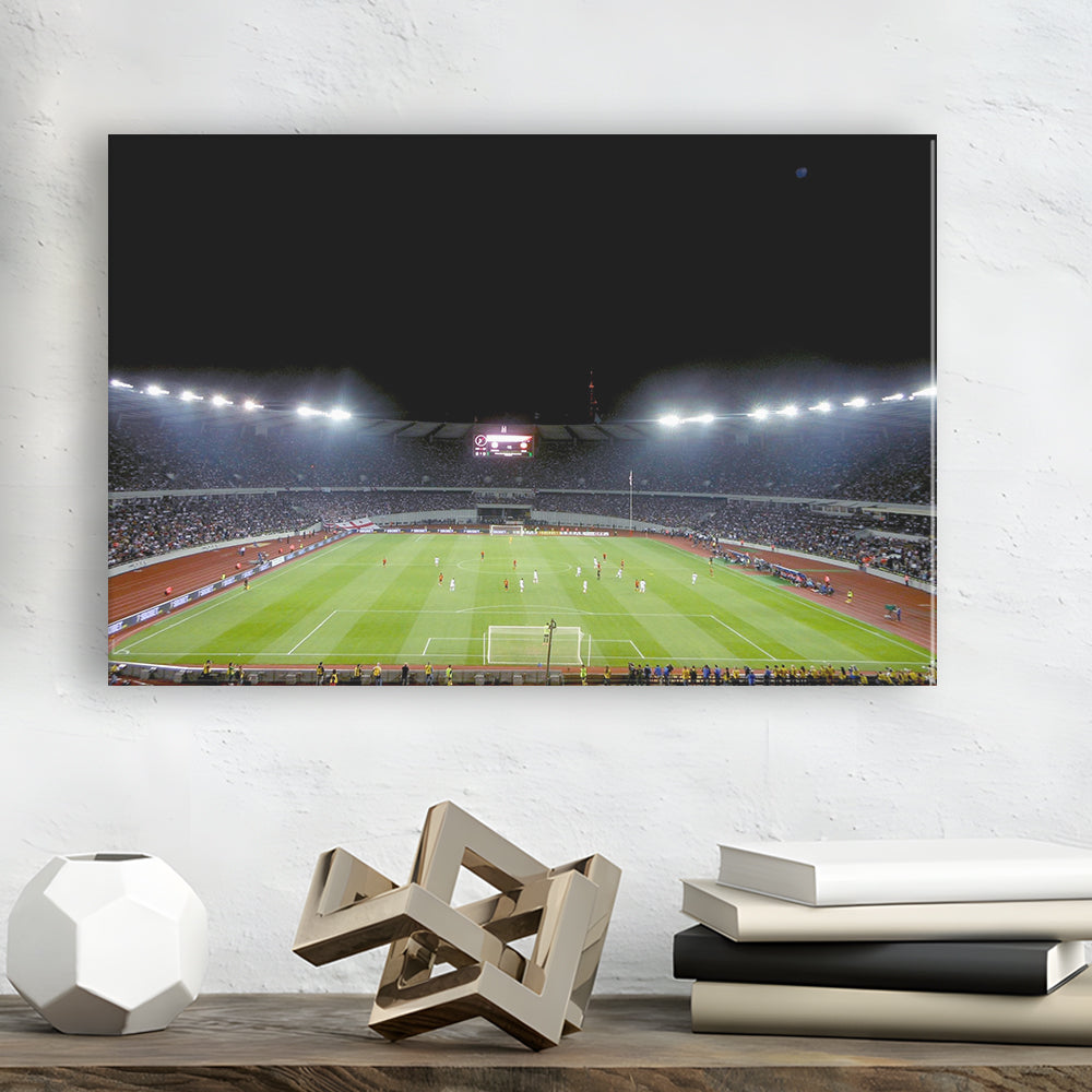 Boris Paichadze Dinamo Arena, Stadium Canvas, Sport Art, Gift for him, Man Cave Decor, Art Print, Canvas Print Wall Art