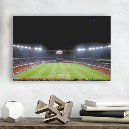Boris Paichadze Dinamo Arena, Stadium Canvas, Sport Art, Gift for him, Man Cave Decor, Art Print, Canvas Print Wall Art