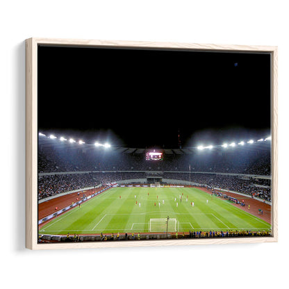Boris Paichadze Dinamo Arena, Stadium Canvas, Sport Art, Framed Canvas Print Wall Art, Floating Frame