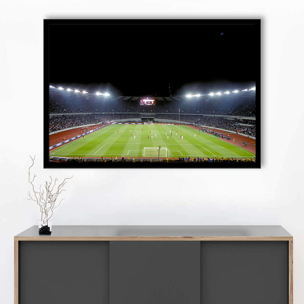 Boris Paichadze Dinamo Arena, Stadium Canvas, Sport Art, Gift for him, Framed Art Print Wall Decor, Picture Framed