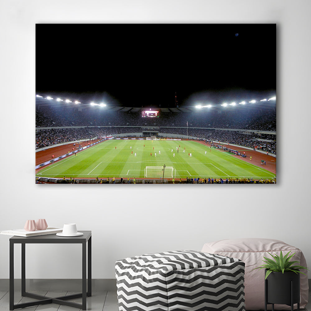 Boris Paichadze Dinamo Arena, Stadium Canvas, Sport Art, Gift for him, Man Cave Decor, Art Print, Canvas Print Wall Art