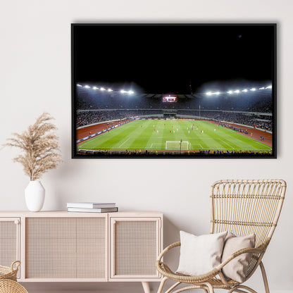 Boris Paichadze Dinamo Arena, Stadium Canvas, Sport Art, Framed Canvas Print Wall Art, Floating Frame