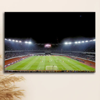 Boris Paichadze Dinamo Arena, Stadium Canvas, Sport Art, Gift for him, Man Cave Decor, Art Print, Canvas Print Wall Art