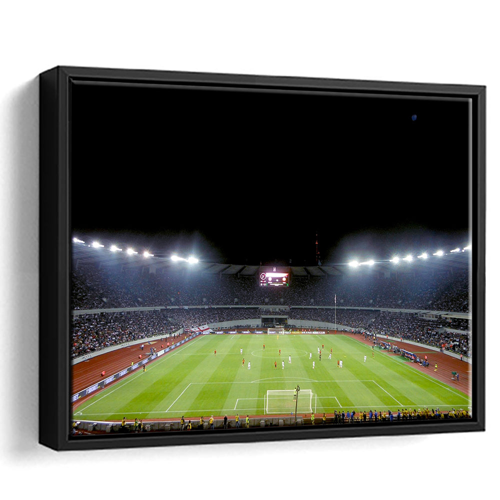 Boris Paichadze Dinamo Arena, Stadium Canvas, Sport Art, Framed Canvas Print Wall Art, Floating Frame