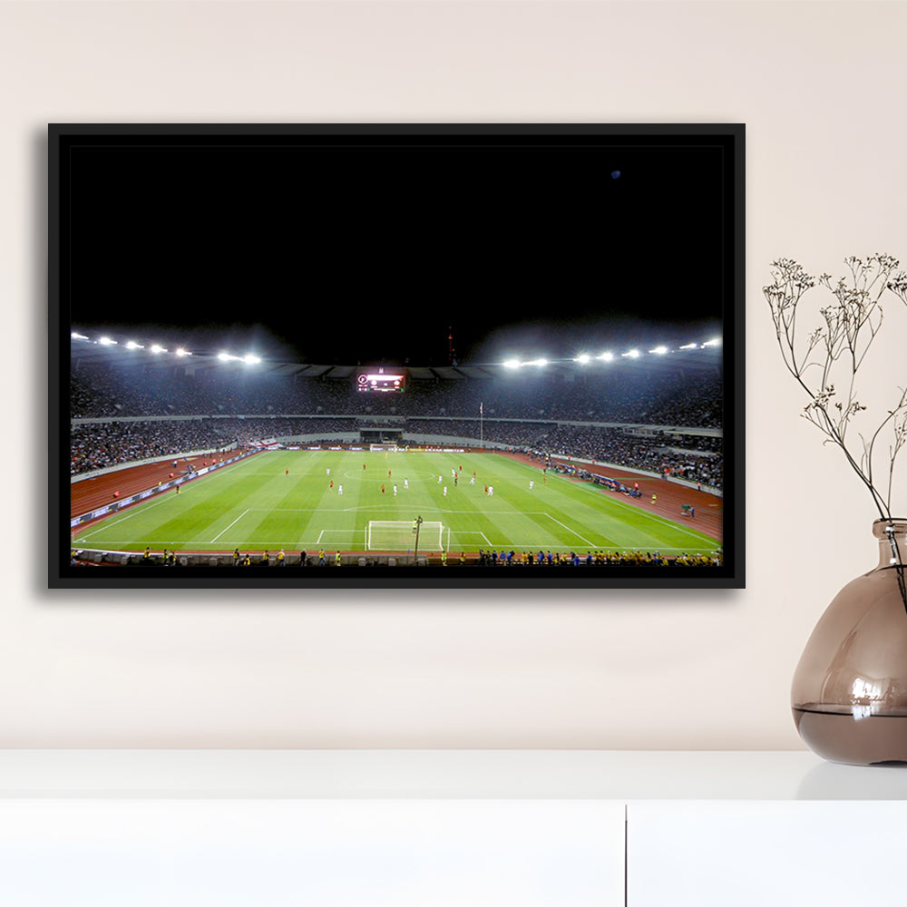 Boris Paichadze Dinamo Arena, Stadium Canvas, Sport Art, Framed Canvas Print Wall Art, Floating Frame