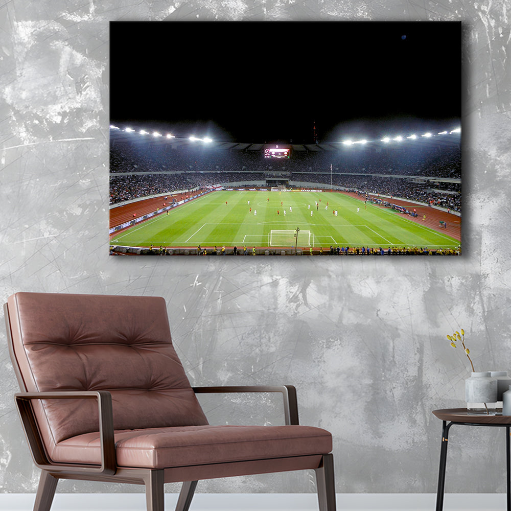 Boris Paichadze Dinamo Arena, Stadium Canvas, Sport Art, Gift for him, Man Cave Decor, Art Print, Canvas Print Wall Art