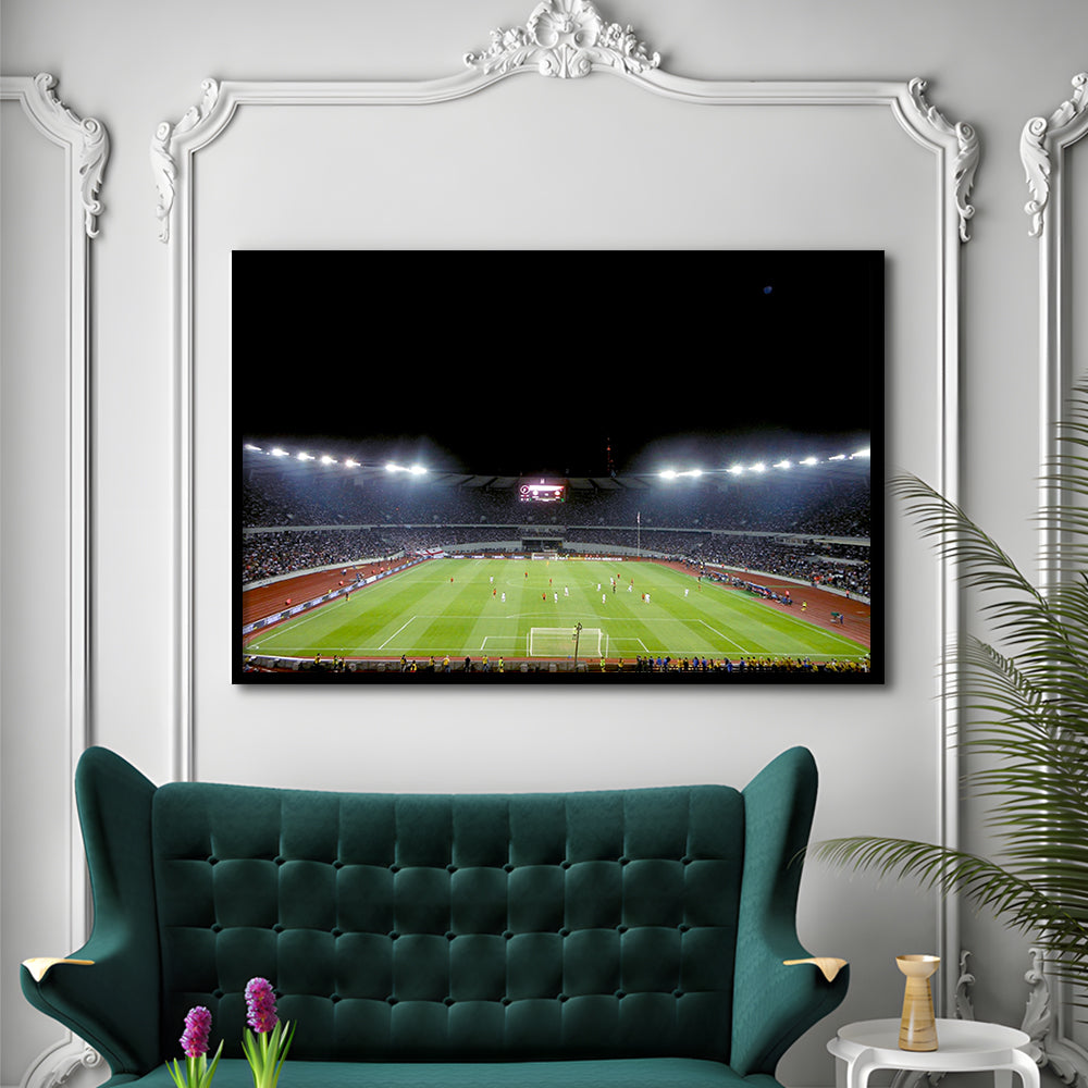 Boris Paichadze Dinamo Arena, Stadium Canvas, Sport Art, Gift for him, Framed Art Print Wall Decor, Picture Framed