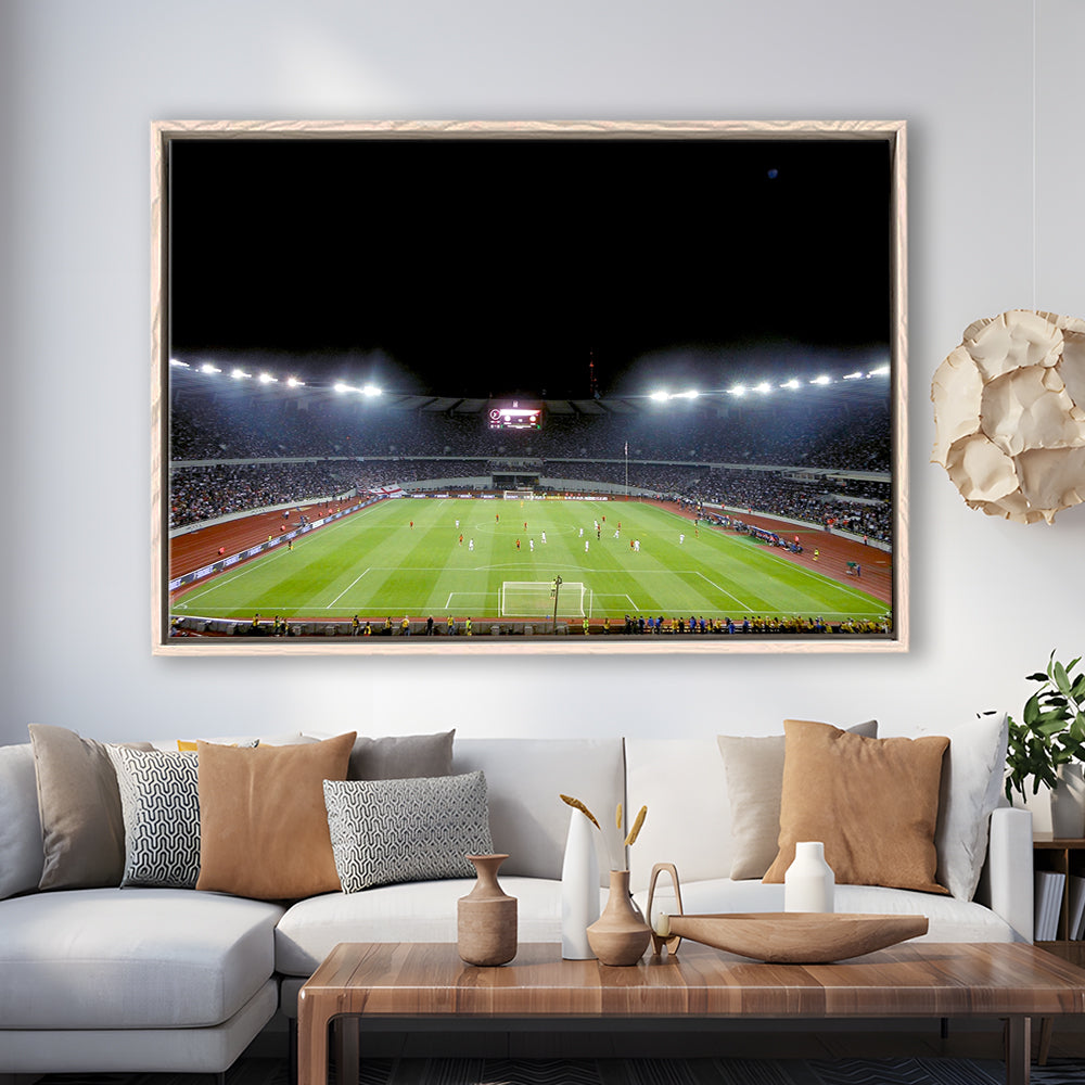 Boris Paichadze Dinamo Arena, Stadium Canvas, Sport Art, Framed Canvas Print Wall Art, Floating Frame