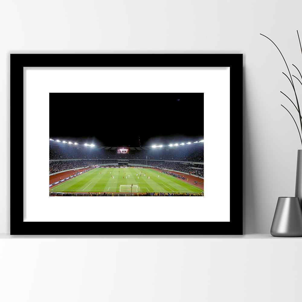 Boris Paichadze Dinamo Arena, Stadium Canvas, Sport Art, Gift for him, White Border Framed Art Print Wall Decor
