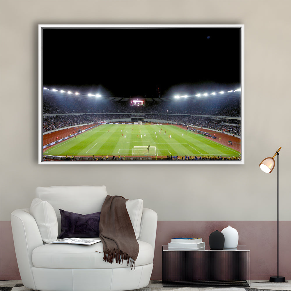 Boris Paichadze Dinamo Arena, Stadium Canvas, Sport Art, Framed Canvas Print Wall Art, Floating Frame