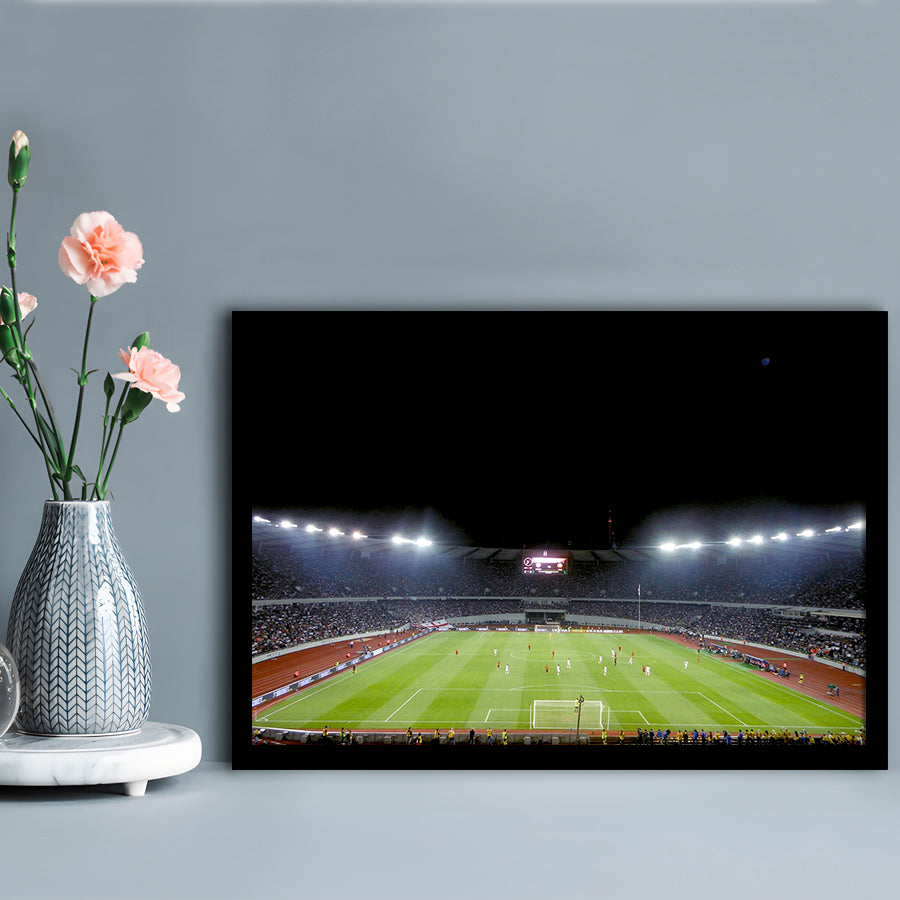 Boris Paichadze Dinamo Arena, Stadium Canvas, Sport Art, Gift for him, Framed Art Print Wall Decor, Picture Framed