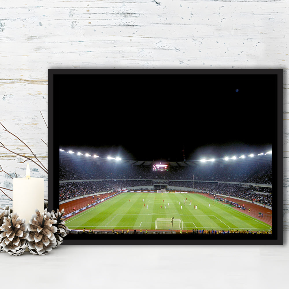 Boris Paichadze Dinamo Arena, Stadium Canvas, Sport Art, Framed Canvas Print Wall Art, Floating Frame