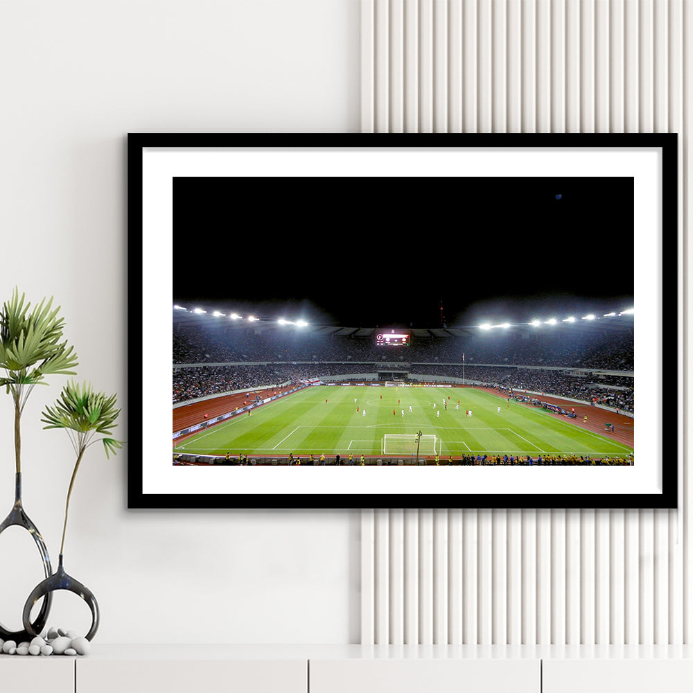 Boris Paichadze Dinamo Arena, Stadium Canvas, Sport Art, Gift for him, White Border Framed Art Print Wall Decor