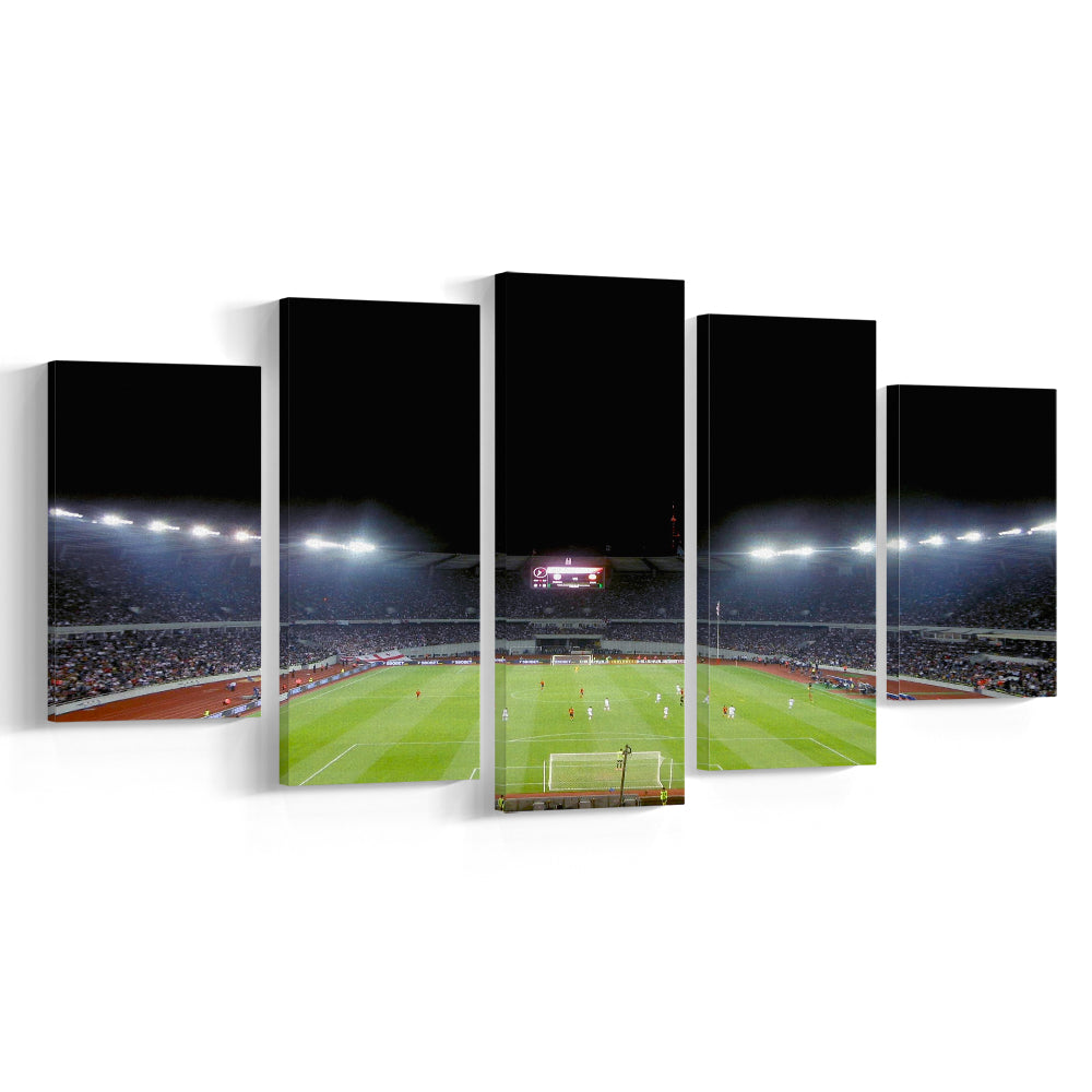 Boris Paichadze Dinamo Arena, Stadium Canvas, Sport Art, Gift for him, 5 Panel, Large Canvas, Canvas Print Wall Art
