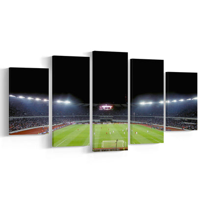 Boris Paichadze Dinamo Arena, Stadium Canvas, Sport Art, Gift for him, 5 Panel, Large Canvas, Canvas Print Wall Art