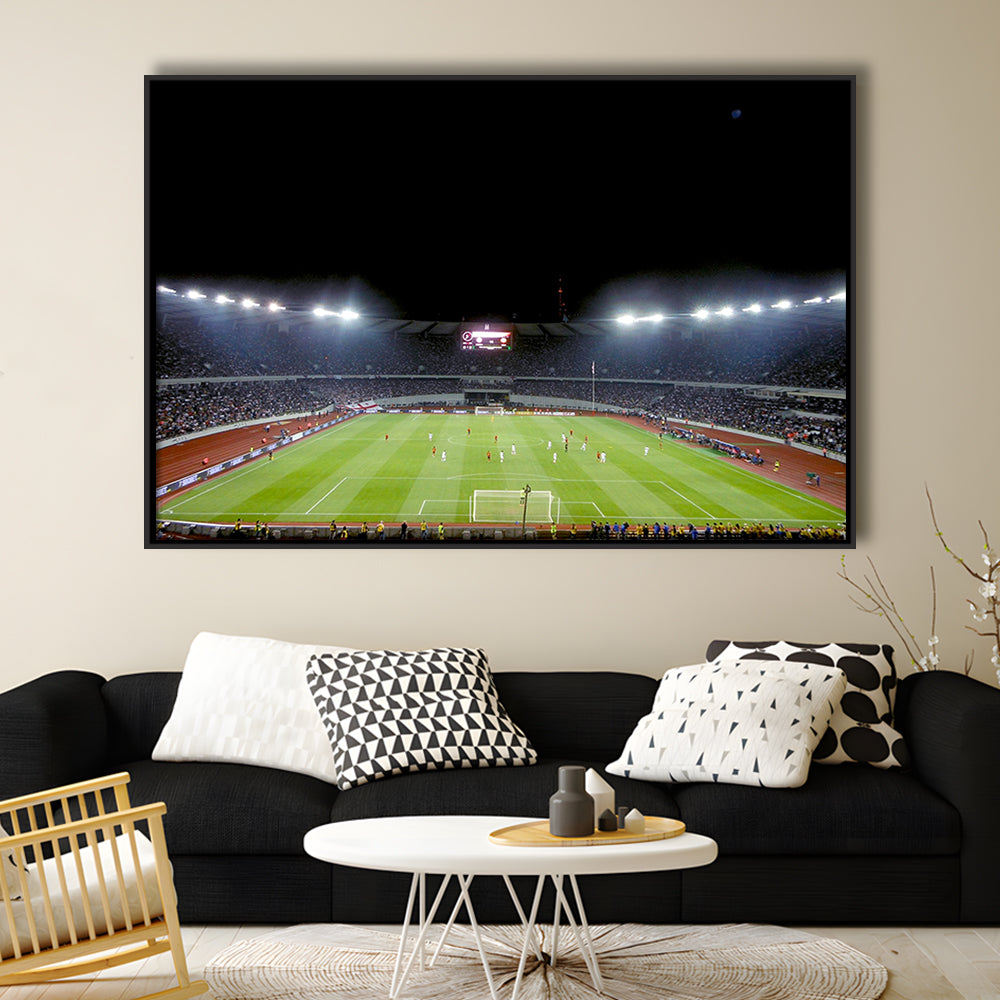 Boris Paichadze Dinamo Arena, Stadium Canvas, Sport Art, Framed Canvas Print Wall Art, Floating Frame