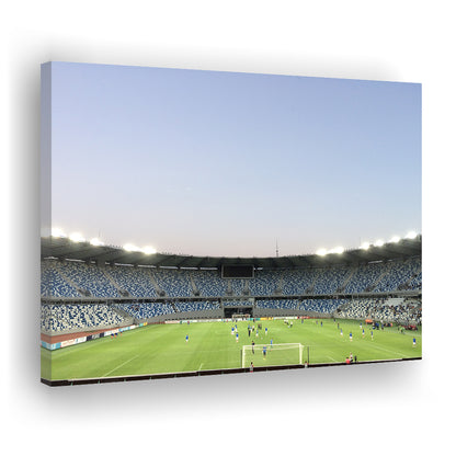 Boris Paichadze Dinamo, Stadium Canvas, Sport Art, Gift for him, Man Cave Decor, Art Print, Canvas Print Wall Art