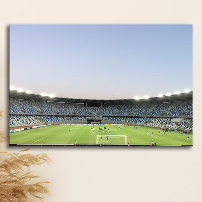 Boris Paichadze Dinamo, Stadium Canvas, Sport Art, Gift for him, Man Cave Decor, Art Print, Canvas Print Wall Art