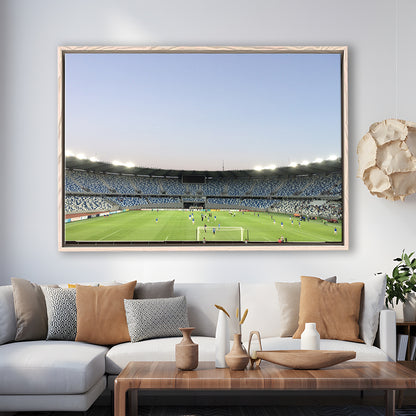 Boris Paichadze Dinamo, Stadium Canvas, Sport Art, Framed Canvas Print Wall Art, Floating Frame