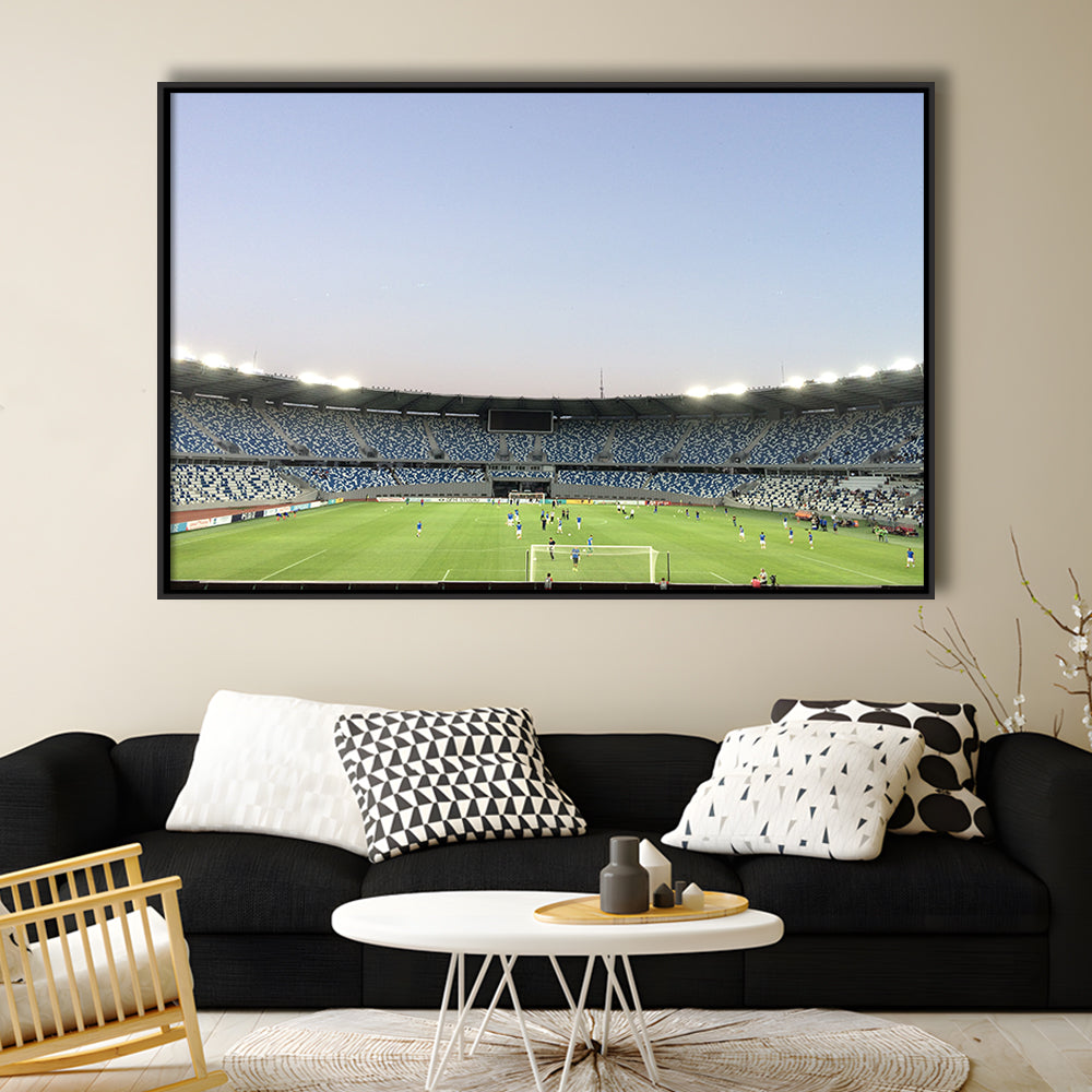 Boris Paichadze Dinamo, Stadium Canvas, Sport Art, Framed Canvas Print Wall Art, Floating Frame