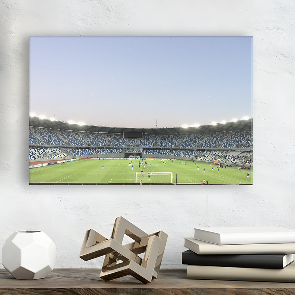 Boris Paichadze Dinamo, Stadium Canvas, Sport Art, Gift for him, Man Cave Decor, Art Print, Canvas Print Wall Art