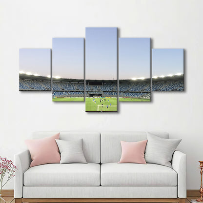 Boris Paichadze Dinamo, Stadium Canvas, Sport Art, Gift for him, 5 Panel, Large Canvas, Canvas Print Wall Art