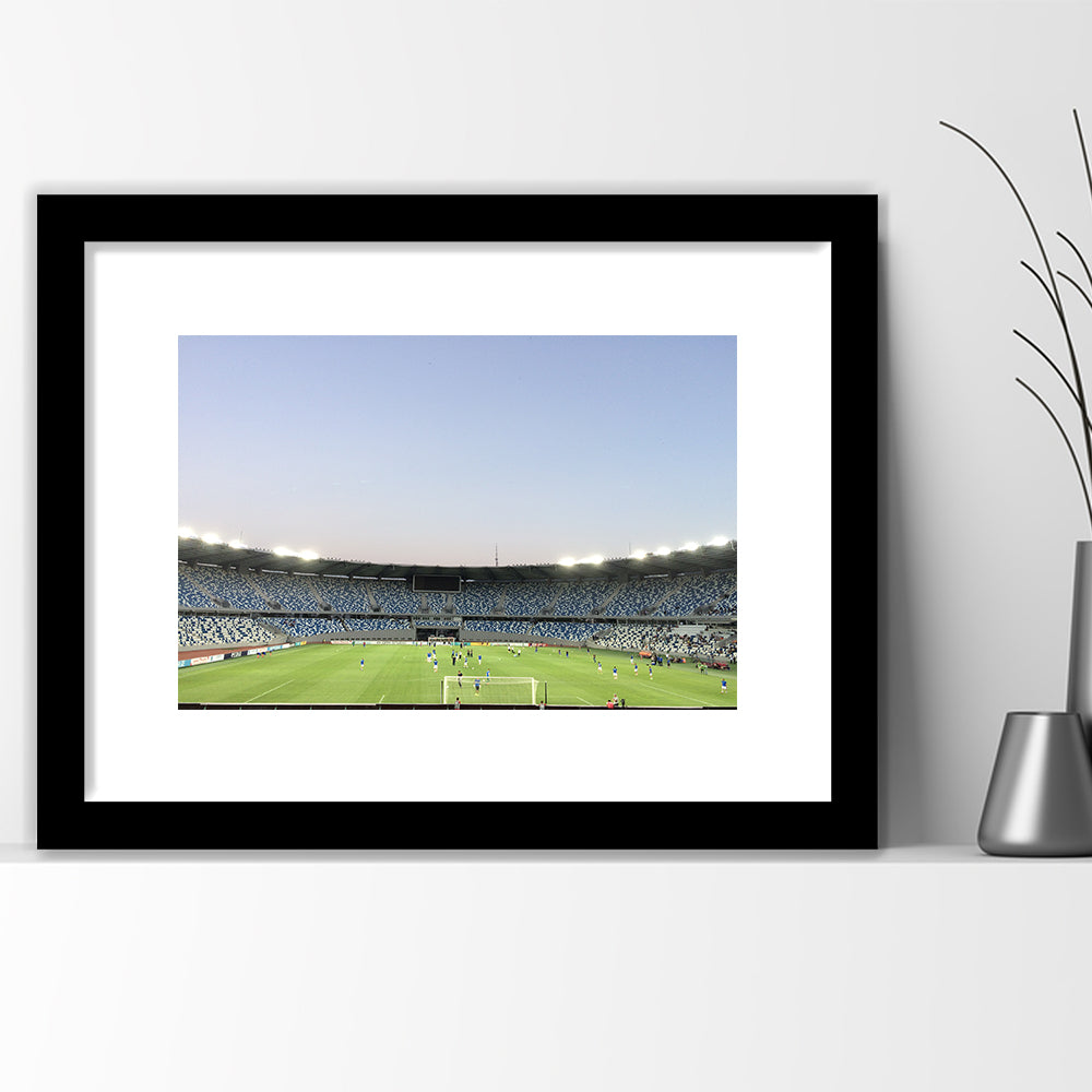 Boris Paichadze Dinamo, Stadium Canvas, Sport Art, Gift for him, White Border Framed Art Print Wall Decor