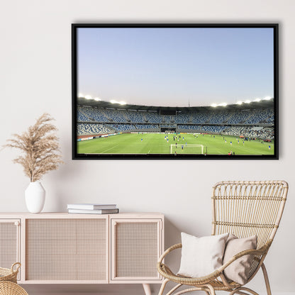Boris Paichadze Dinamo, Stadium Canvas, Sport Art, Framed Canvas Print Wall Art, Floating Frame