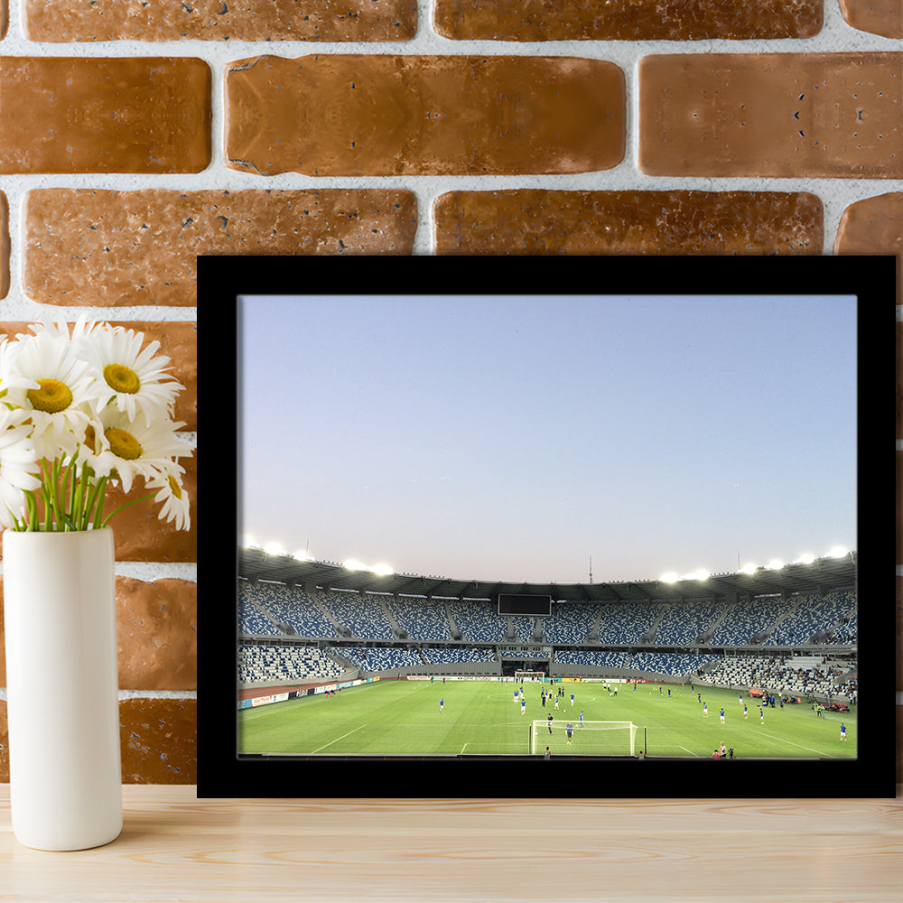Boris Paichadze Dinamo, Stadium Canvas, Sport Art, Gift for him, Framed Art Print Wall Decor, Picture Framed